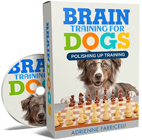 Polishing Up Your Training &mdash; Brain Training For Dogs bonus